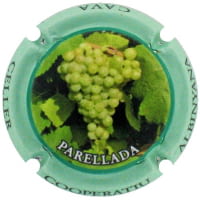 COOP AGRARIA ALBINYANA X. 252063 (PARELLADA)