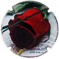 MARIA OLIVER PORTI X. 218892