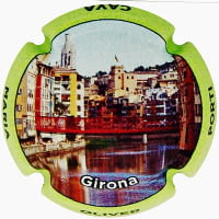 MARIA OLIVER PORTI X. 247639