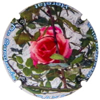 HERETAT DE SANGENIS X. 238955
