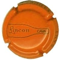 LINCON V. 6021 X. 09145 (TARONJA)