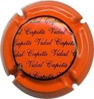 CAPITA VIDAL V. 16141 X. 51973