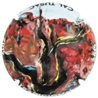 CAL TUSAC VINYA X. 239104 (2019)