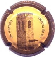 JOAN PIÑOL TORRENTS V. 15155 X. 48771