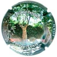 JOAN PIÑOL TORRENTS V. 19869 X. 69217