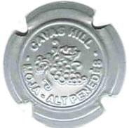 CAVAS HILL V. ESPECIAL X. 19262