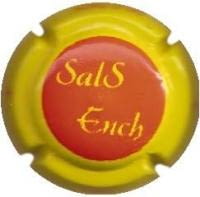 SALSENCH V. 13256 X. 38476