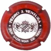 PEDRO J.VENTURA V. 0604 X. 13421 ESCUT MES GROS