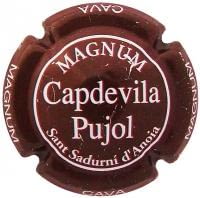 CAPDEVILA PUJOL V. 6210 X. 24065 MAGNUM (MARRO)