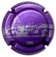 JOAN PIÑOL TORRENTS V. 10808 X. 13107