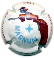 EL CELLER VELL V. 15576 X. 50064 MAGNUM