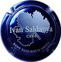 IVAN SALDANYA V. 3133 X. 01863