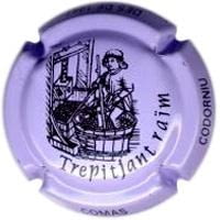 SADURNI COMAS CODORNIU V. 16012 X. 50817