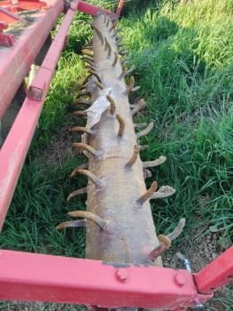 Subsolador intercalado - 4