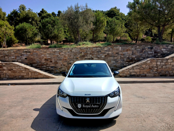 PEUGEOT 208 Active Pack 1.5BlueHDi 100cv - 3