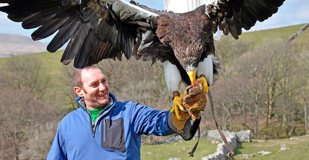 Bird of Prey Keepers