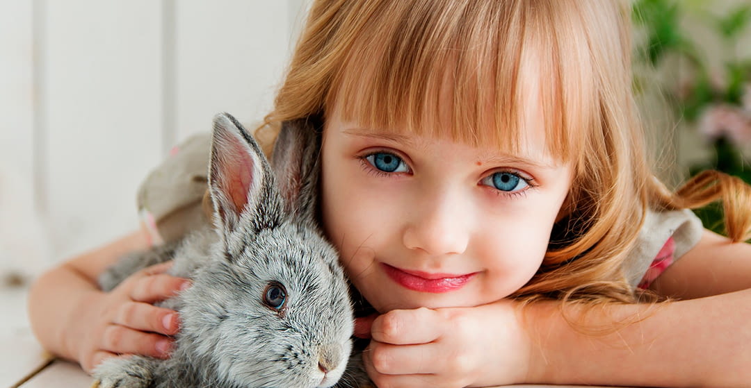 How long does the rabbit have to spend outside the cage each day?
