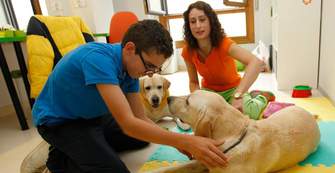 Beneficios de la terapia con animales para personas con discapacidad