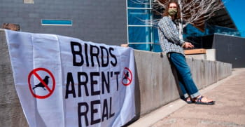 Lo último del negacionismo: los pájaros no existen, son drones.