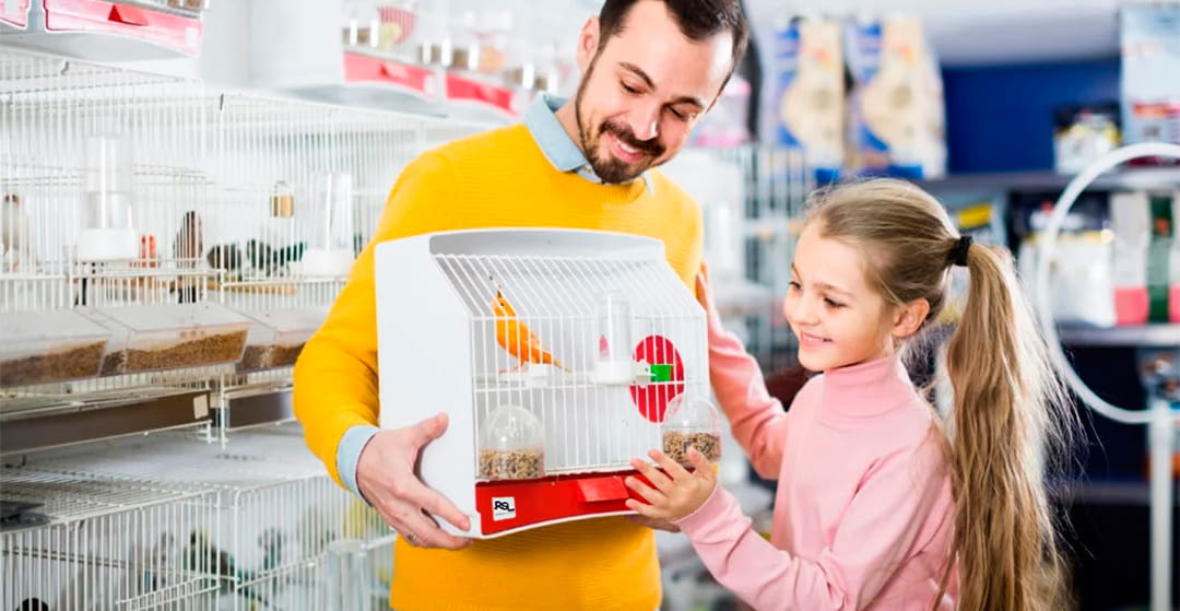 Consultas más frecuentes que hacen los propietarios de aves en una tienda de mascotas según un estudio de RSL Pets