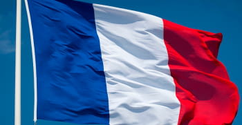 El sector Petcare en Francia, en crecimiento vertiginoso.