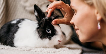 Conejos: claves para proporcionarles los cuidados correctos
