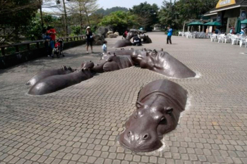 Hipopótamo. Taiwan.