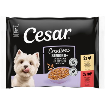 CESAR PAK SENIOR  13x4x100 CH35N