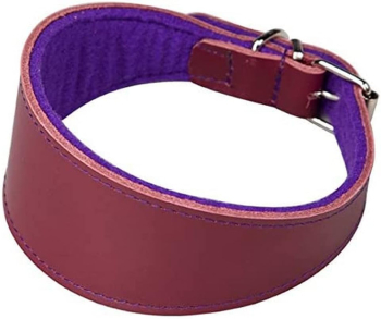 COLLAR GALGO CUERO FORRO 45 - 2