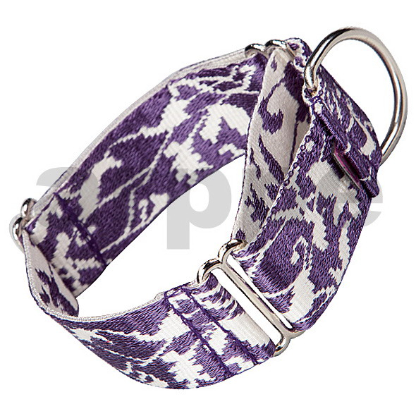 COLLAR MARTINGALE JACQUARD