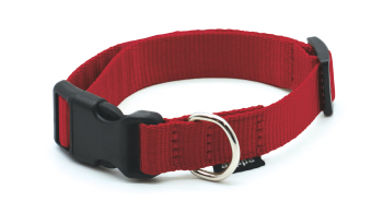 COLLAR NYLON REGU. 22400110 - 2