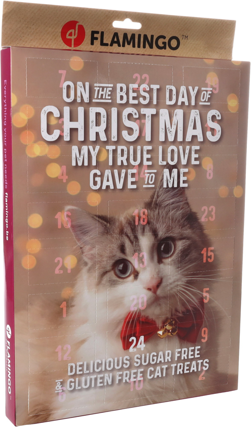 CALENDARIO ADVIENTO GATO  2025