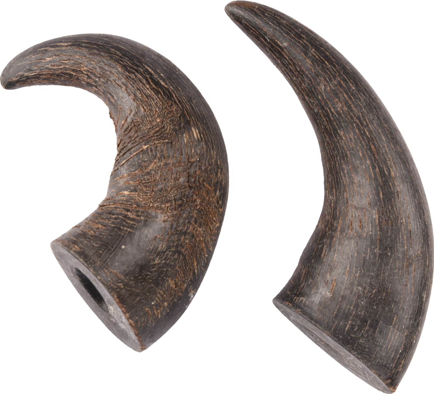 CUERNO DE BUFALO 4x2ud MD 19623