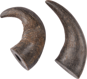 CUERNO DE BUFALO 4x2ud MD 19623