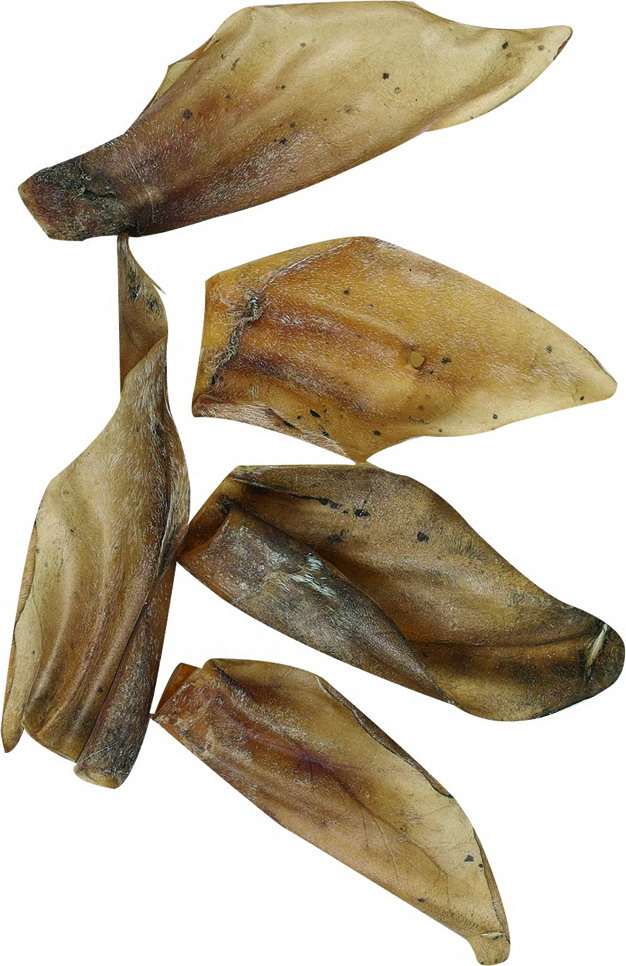 OREJA DE BUFALO 12x5ud  502623