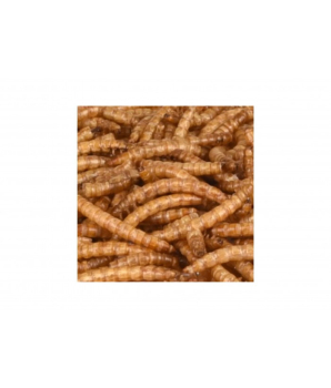 KK GUSANO DE LA HARINA 150g 4255 - 2