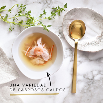 GOURMET SOUP POLLO  32x40g  735 - 2