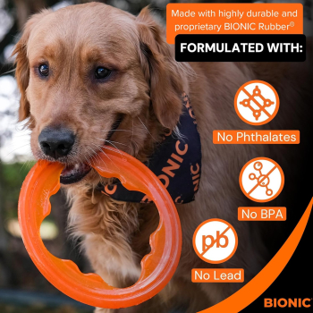 BIONIC ARO TOSS N TUG 22cm 97813 - 2