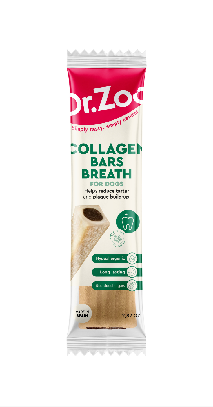 DR Z. ALIENTO 24x80g       11582