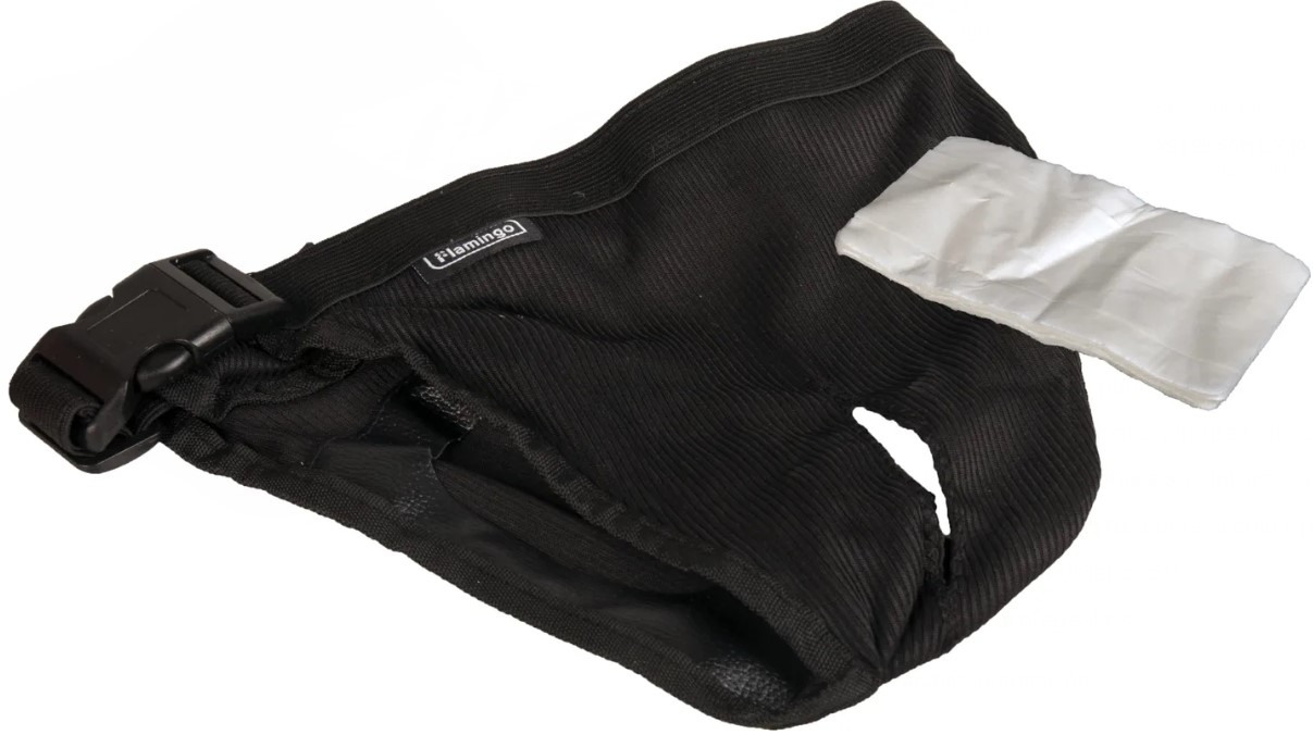 SLIP PERRITA XS  25Lx10Anx2Al cm