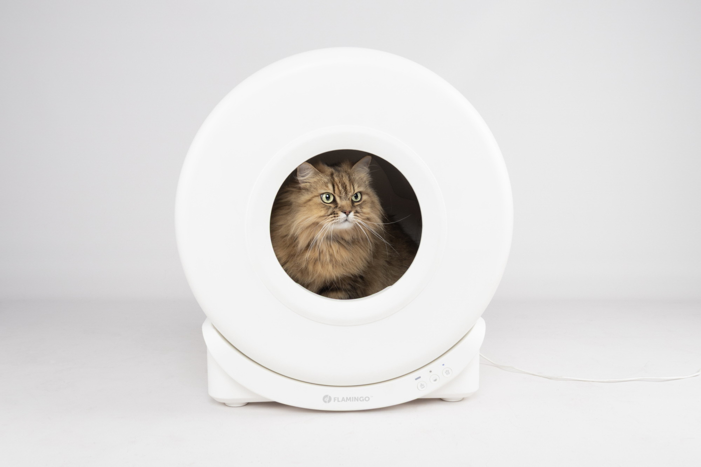 ARENERO AUTOLIMPIABLE ATLAS APP