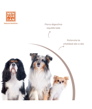 PRE+PROBIOTICO PERROS 100gr BILP - 2