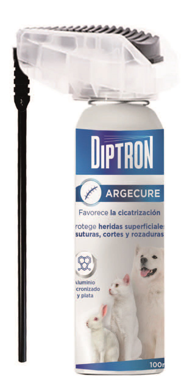 DIPTRON ARGECURE CICATRIZA 100ml