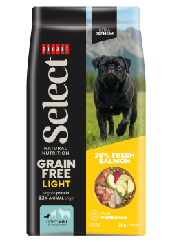 SELECT G.FREE MINI LIGHT SLMN 2K
