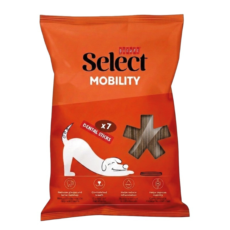 SEL STICK MOBILITY 10x100g
