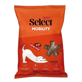SEL STICK MOBILITY 10x100g