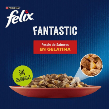 FELIX FANTA CAMPO 4x(24x85g) 553 - 2
