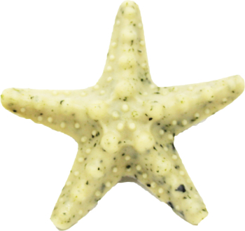 PF EXP TASTY SEA TREATS  60ud - 2