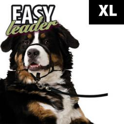 EASY LEADER  T5    XL