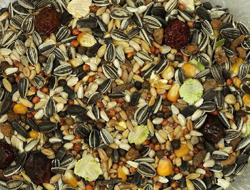 SUPREM HAMSTER       25kg GRANEL